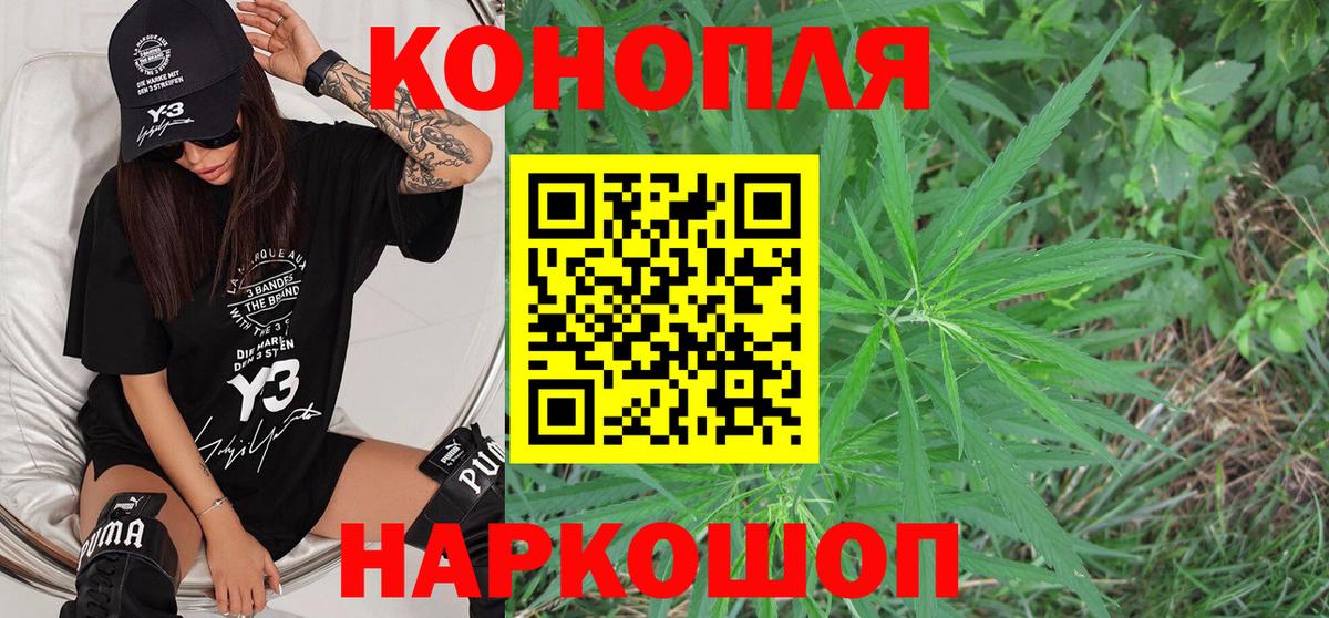 Псилоцибиновые грибы Ухта